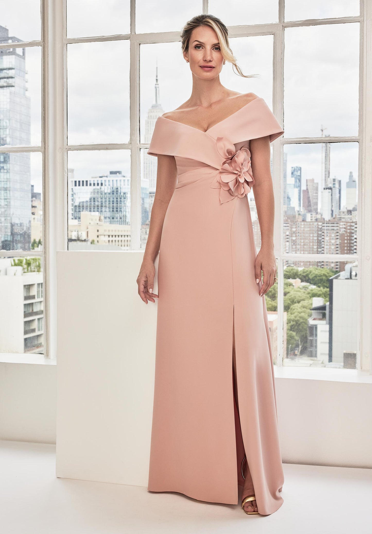Formal Dresses A Line Long Formal Evening Dress Blush