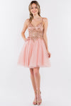 Sheer Bodice Short Homecoming Dress - The Dress Outlet