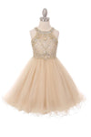 Sleeveless Embellished Short Party Dress Flower Girl - The Dress Outlet Cinderella Couture