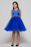 Sleeveless Illusion Neckline Sparkle Flower Girl Dress - The Dress Outlet Cinderella Couture