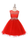 Sleeveless Illusion Neckline Sparkle Flower Girl Dress - The Dress Outlet Cinderella Couture