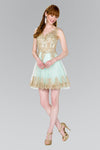 Sleeveless Tulle Short Prom Dress - The Dress Outlet