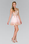 Sleeveless Tulle Short Prom Dress - The Dress Outlet