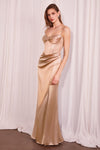 Prom Dresses Prom Long Formal Fitted Evening Dress Champagne