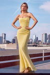 Prom Dresses Fitted Long Formal Evening Gown  Light Yellow