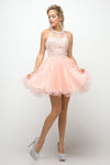 Cocktail Dresses Short Lace Applique Cocktail Dress Blush