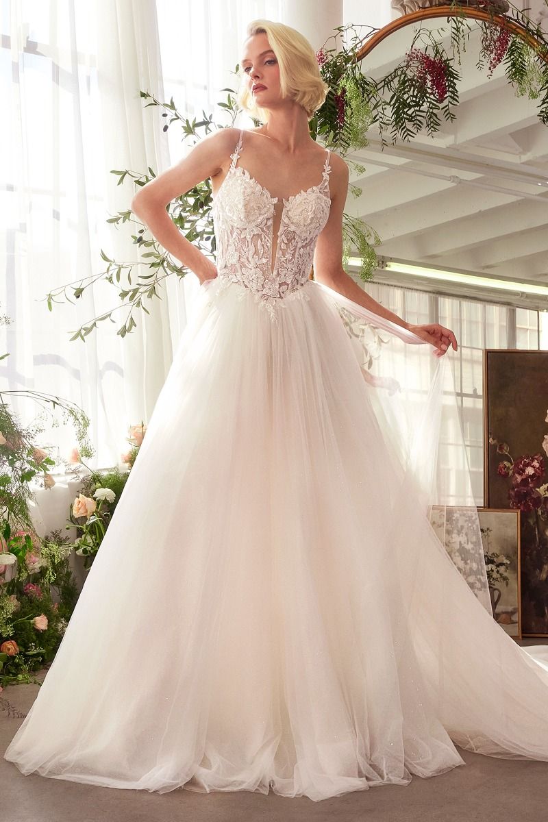Wedding Dresses Long Bridal Ball Gown Applique Wedding Dress Off White